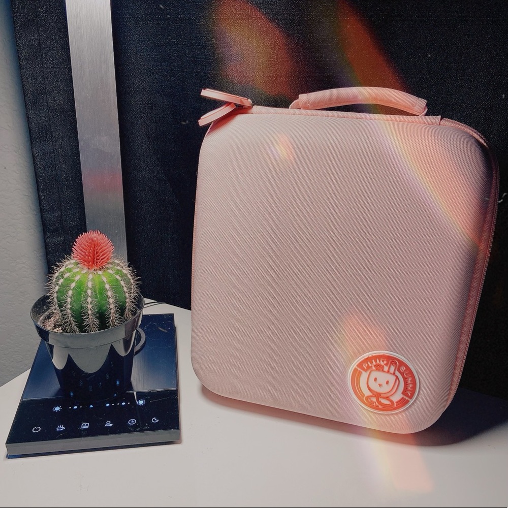 Nintendo switch case (gadget bag)